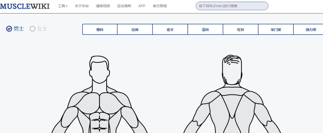 musclewiki插圖1 musclewiki插圖1